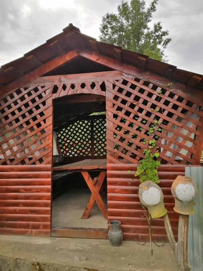 У Катерини Villa Dvozhets Ngoại thất bức ảnh